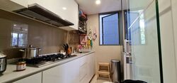 Mon Jervois (D10), Condominium #358879211